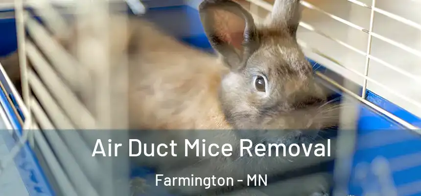  Air Duct Mice Removal Farmington - MN