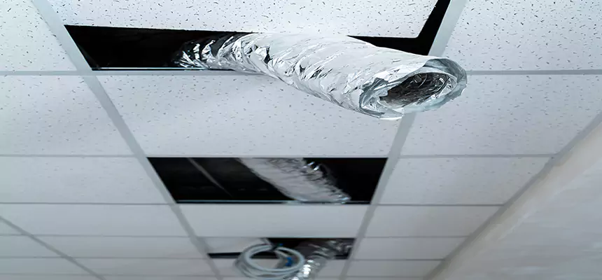 Our Air Duct Pet Hair Removal Services in Farmington, MN