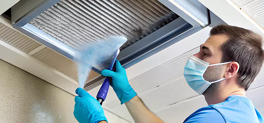 Proactive Dryer Vent & Auxiliary Duct Pollen Cleanup in Farmington, MN