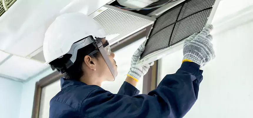 Our Mold & Mildew Removal from Air Ducts Services in Farmington, MN