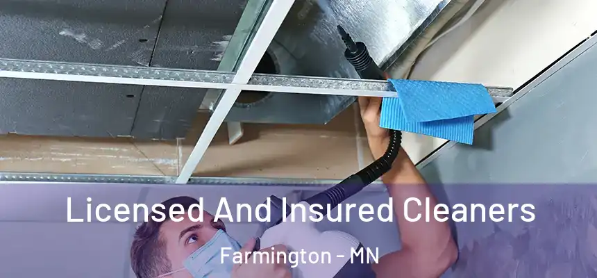 Licensed And Insured Cleaners Farmington - MN