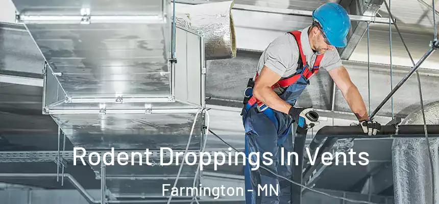  Rodent Droppings In Vents Farmington - MN