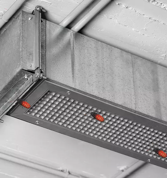 About Air Duct Cockroach Removal in Farmington, MN