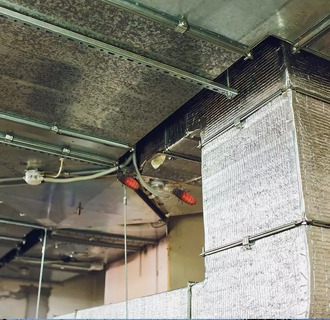 Why Homeowners & Businesses Trust Us in Farmington, MN?